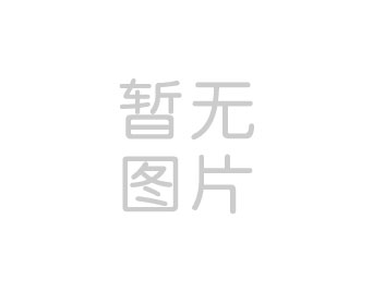 測試