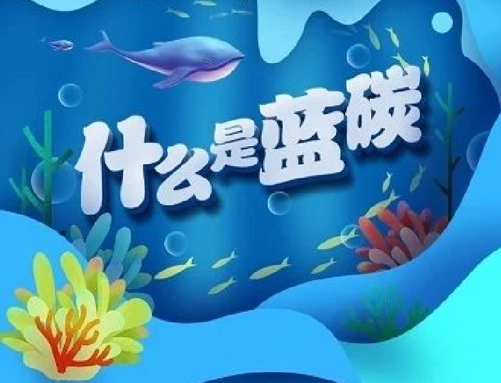 圖解｜你知道“藍碳”是什么嗎？